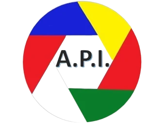 API Logo